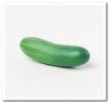 MFR-016 Cucumber